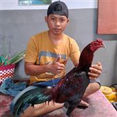 Chu
