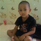 Wil