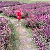 nướ