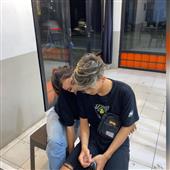 Giả