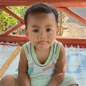Biể