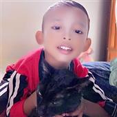 độn