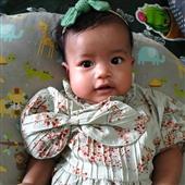 Thỏ
