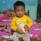 Dự 