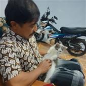 Nhậ