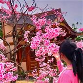 Xiế