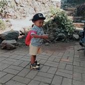Mơ 