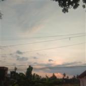Tổn