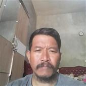 VỪN