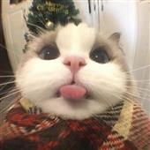 Chi