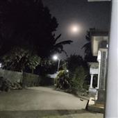 Bữa