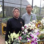 Hợp