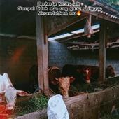 Rồn