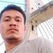 Cỏ 