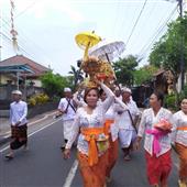 Bản