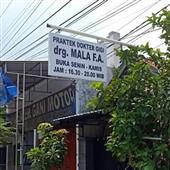 Giả