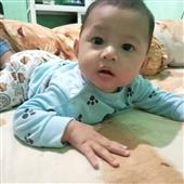 Giả