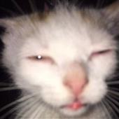 Huc