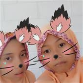 Pok