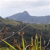 Nhà