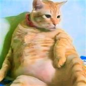 Gan