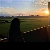 Đảo