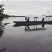 Trự