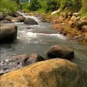 Sự 