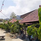 Bản