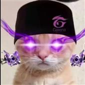 3 C