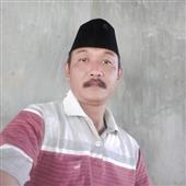Gấu