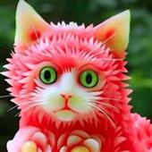 Vợt