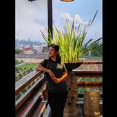Bữa