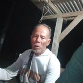 Mắt
