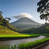 Yêu