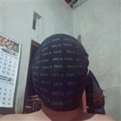 Gấu