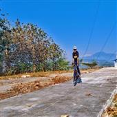 Bản