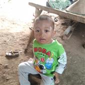 Ngh