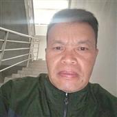 Ứng