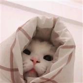 Giả