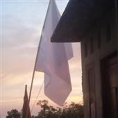 Trự