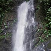 Trự