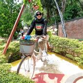 Chỉ
