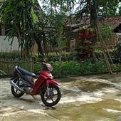 Nổ 