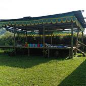 Nhậ