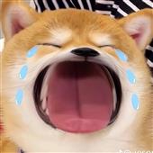 Bla