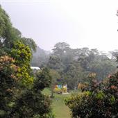 Trậ