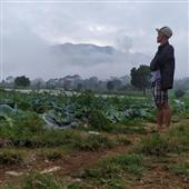 Dự 