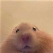 Cuộ