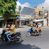 NGỰ